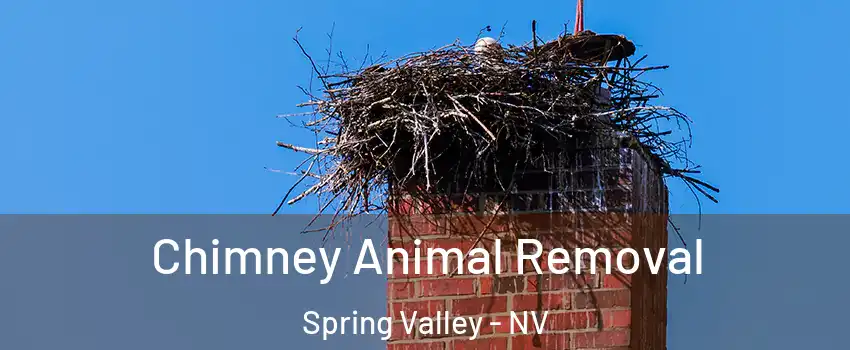 Chimney Animal Removal Spring Valley - NV
