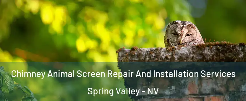 Chimney Animal Screen Repair And Installation Services Spring Valley - NV