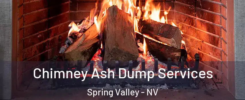 Chimney Ash Dump Services Spring Valley - NV