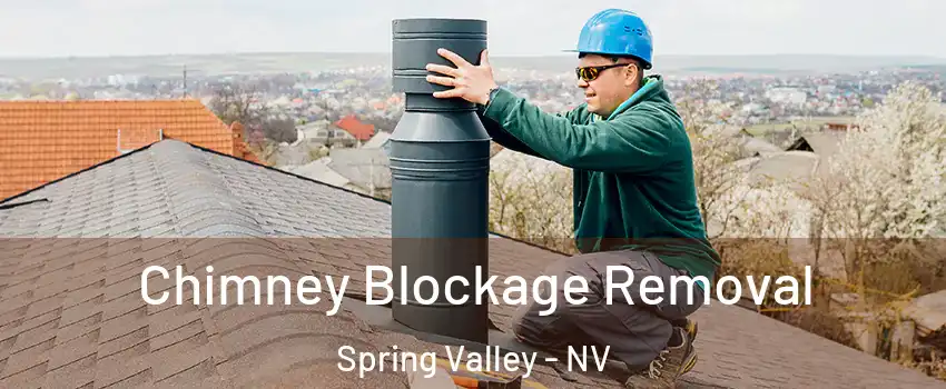 Chimney Blockage Removal Spring Valley - NV