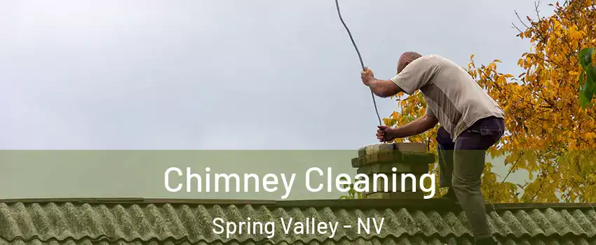 Chimney Cleaning Spring Valley - NV