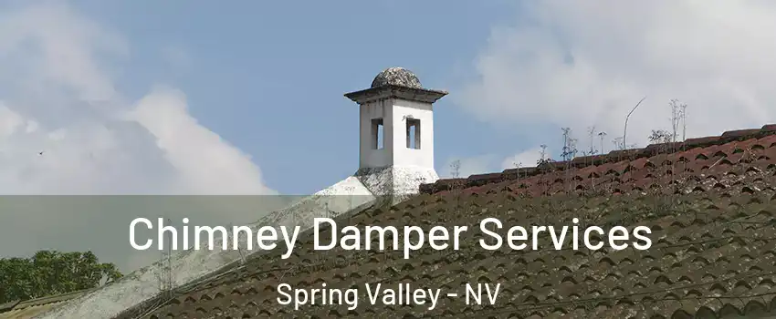 Chimney Damper Services Spring Valley - NV