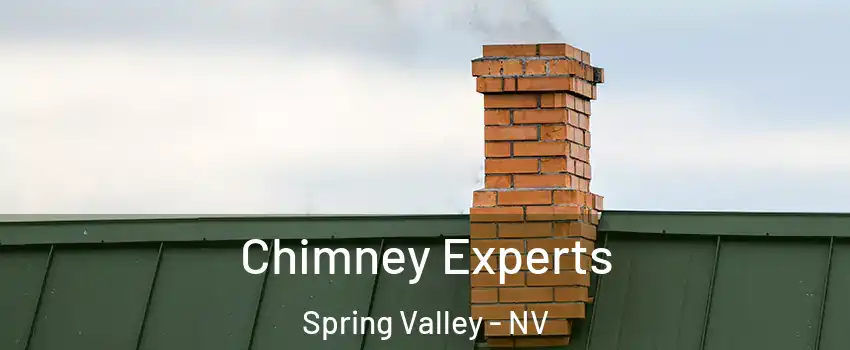 Chimney Experts Spring Valley - NV