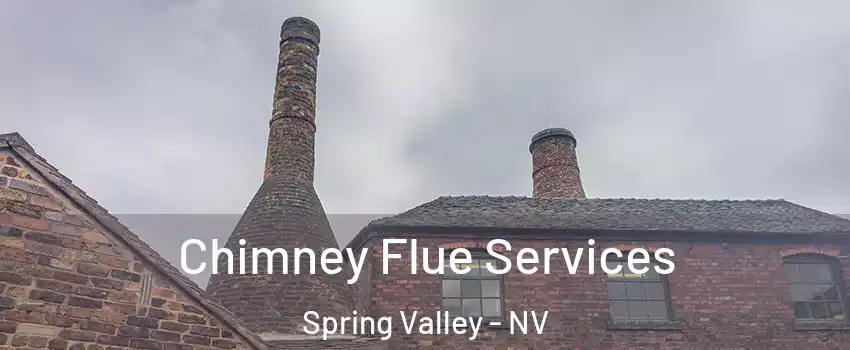 Chimney Flue Services Spring Valley - NV