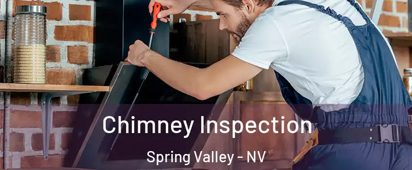 Chimney Inspection Spring Valley - NV