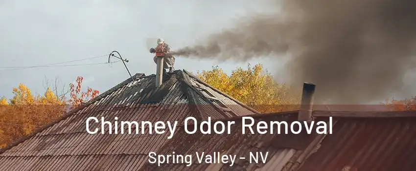 Chimney Odor Removal Spring Valley - NV