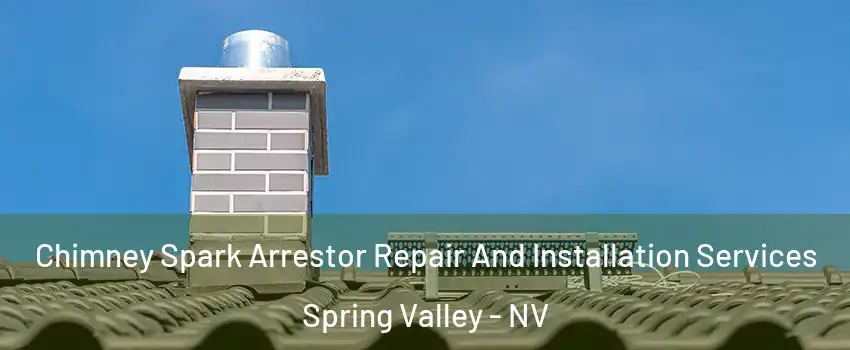 Chimney Spark Arrestor Repair And Installation Services Spring Valley - NV