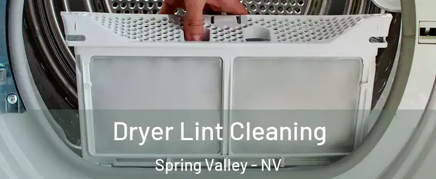 Dryer Lint Cleaning Spring Valley - NV