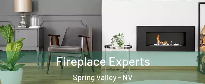Fireplace Experts Spring Valley - NV