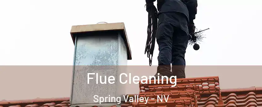 Flue Cleaning Spring Valley - NV