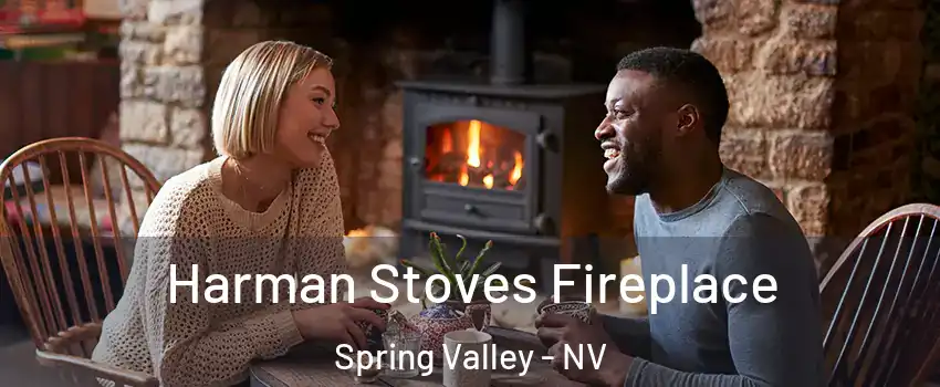 Harman Stoves Fireplace Spring Valley - NV