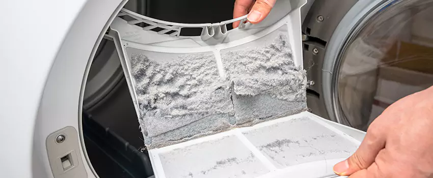 Best Dryer Lint Removal Company in Spring Valley, Nevada