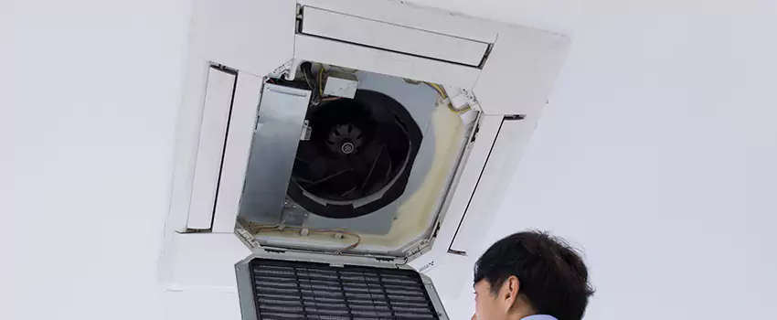 Benefits of Professional Air Duct Cleaning in Spring Valley, Nevada