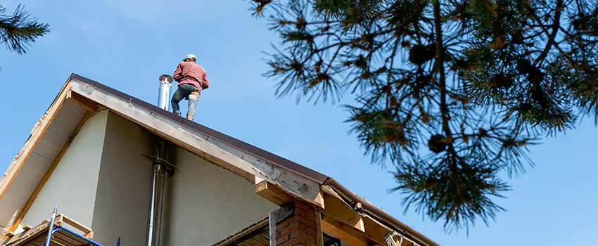 Birds Removal Contractors from Chimney in Spring Valley, NV