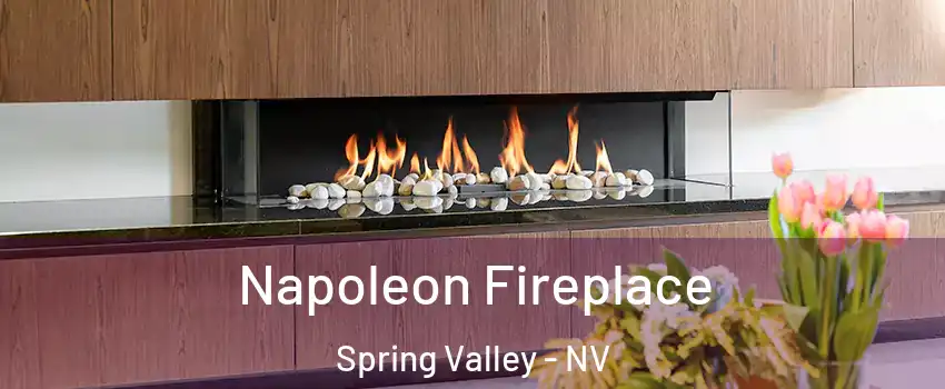 Napoleon Fireplace Spring Valley - NV