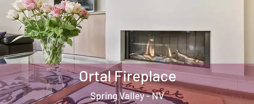 Ortal Fireplace Spring Valley - NV