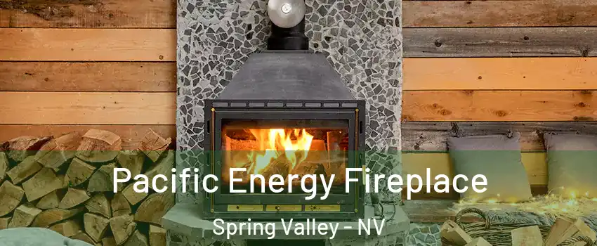 Pacific Energy Fireplace Spring Valley - NV