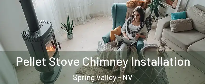 Pellet Stove Chimney Installation Spring Valley - NV